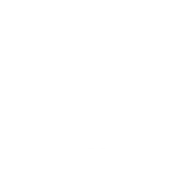 TR1BE Mixed Martial Arts Academy logo