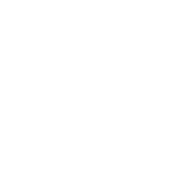 Csd Lutte / Icon Bjj logo