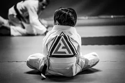 Living Art BJJ logo