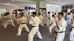 Artes Marciales en Majadahonda KAMAE DO logo