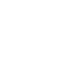 X-Combat logo