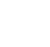 Academy Wanda Bambirra logo