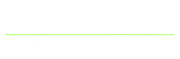 The Flock MMA Academy logo