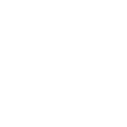 Dapo Martial Arts Brampton logo