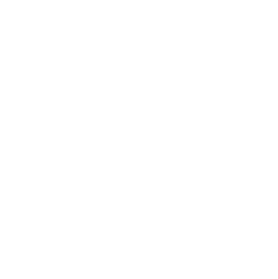 Soi Dogs MMA & Fitness logo