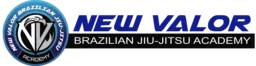 New Valor Brazilian Jiu-Jitsu Academy logo