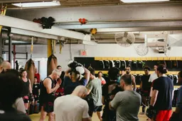 N1 Thai Boxing Academy logo