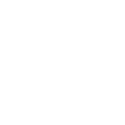 ONE Jiu Jitsu Academy logo