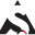 BJJ - Southside Brazilian Jiu-Jitsu Gold Coast logo