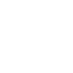 Elite Brazilian Jiu Jitsu Coaching logo