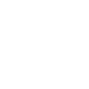 Kampfsportschule Leipzig Lindenau logo