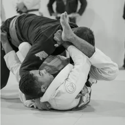 Midtown Grappling Academy logo