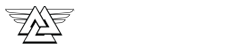 Immersion MMA Ringwood logo