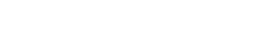Besnek Jiu Jitsu logo