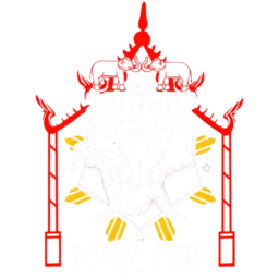 Team Aguirre Martial Arts logo